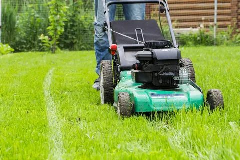 Honda Mowers Brisbane