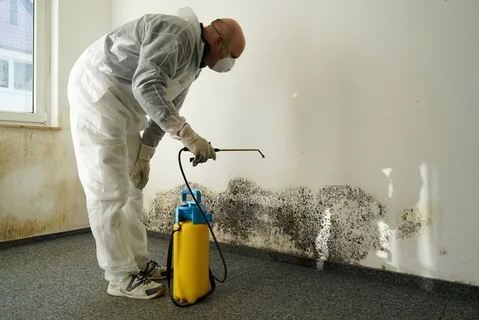 Fast Mould Removal Sydney